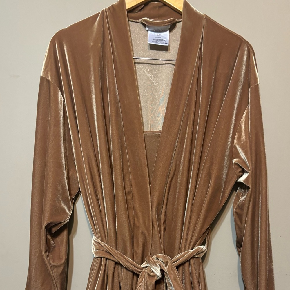 HIDDEN FANTASIES Vintage Velour Robe & Nightgown Set